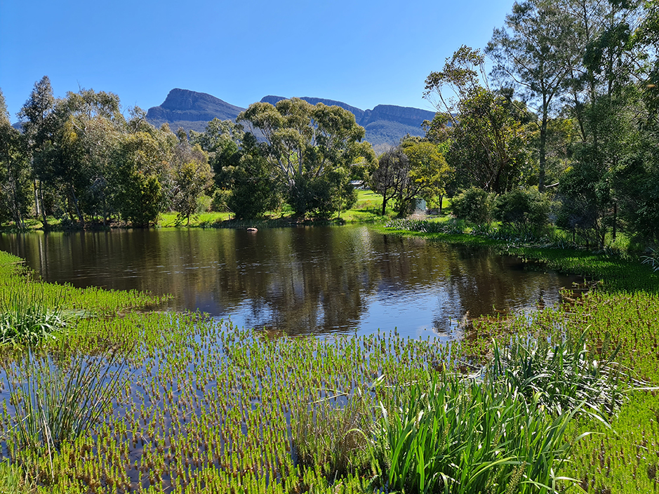 Blue Lake South of, one of the created Redman Bluff Wetlands at Grampians Paradise Camping and Caravan Parkland