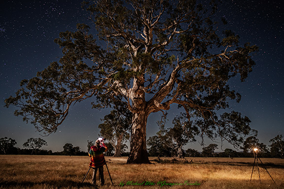 Aurora refected in Snipe Swamp of Redman Bluff Wetlands at Grampians Paradise Camping and Caravan Parkland