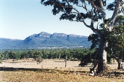 Redman Bluff, one of the tallest mountains of the Grampians National Park