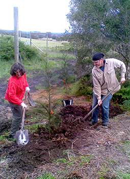 Nessa and Aidan planting new trees Spring 2010 at Grampians Pardise