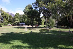 The view from Parkland 12 at Grampians Paradise Camping and Caravan Parkland taken in autumn 2023 showing many of the trees that were planted