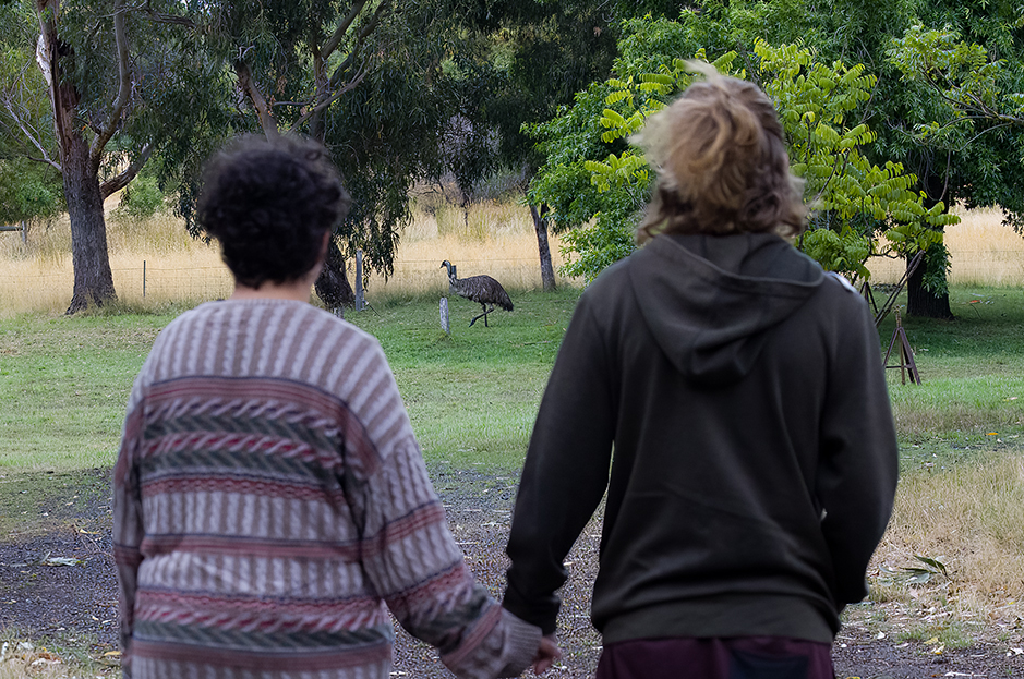Exclusive Wildlife Stay Participants watching an Emu at Grampians Paradise Camping and Caravan Parkland