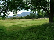 Camping site with shady tree and views of the Grampians