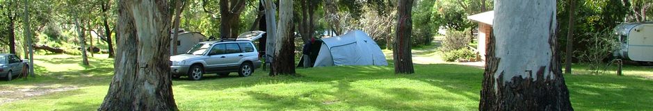 Shady grassed powered sites at Grampians Paradise Camping and Caravan Parkland