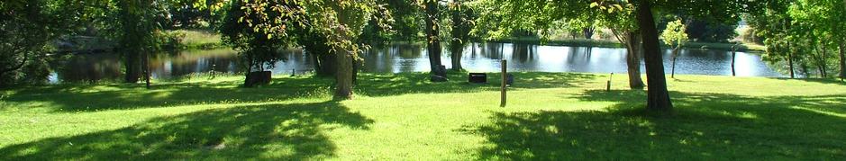 Green grass and shady trees by our little Blue Lake at Grampians Paradise Camping and Caravan Parkland